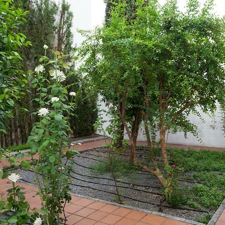 Apartamento De Lujo En Antiguo Convento Granada Exteriér fotografie